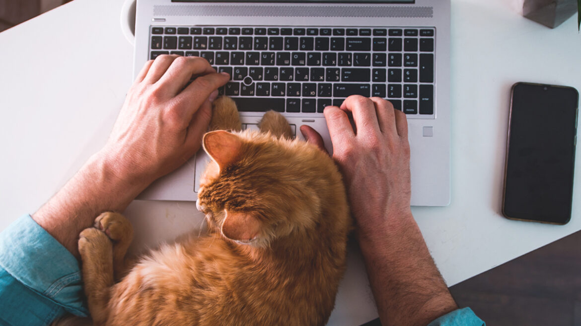 This image show how you can do a remote work from home